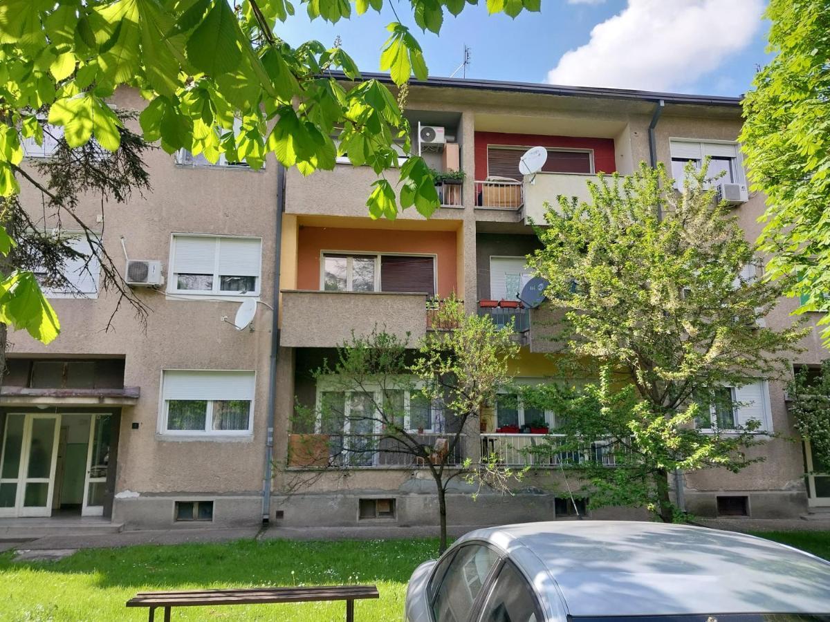 Apartmani Sofronic Loznica 1 Экстерьер фото